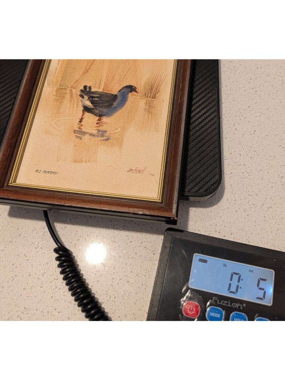 New Zealand Pukeko Artwork John Brasell in Wood Frame Minor Flaws 8.5 x 6 in - Picture 15 of 15